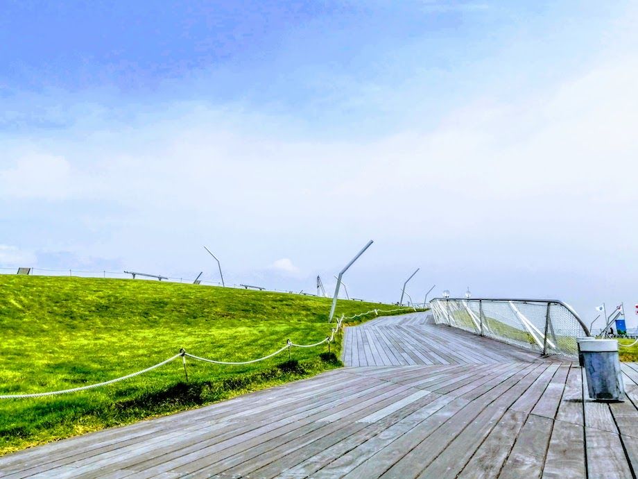 横浜おすすめジョギングコース、大さん橋屋上デッキの芝生の画像